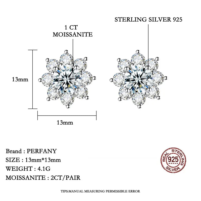 Snowflake Simulation  Earrings