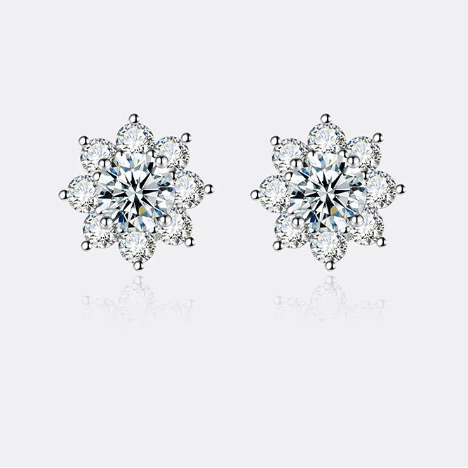 Snowflake Simulation  Earrings